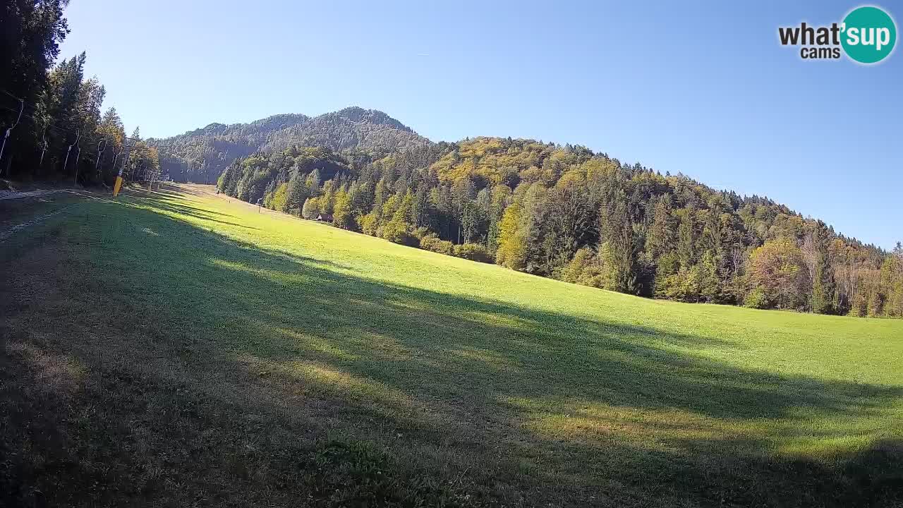 Ski Kranjska Gora | Brsnina