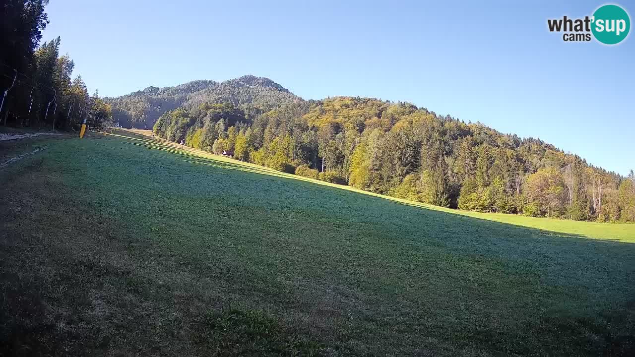 RTC Kranjska Gora | Brsnina