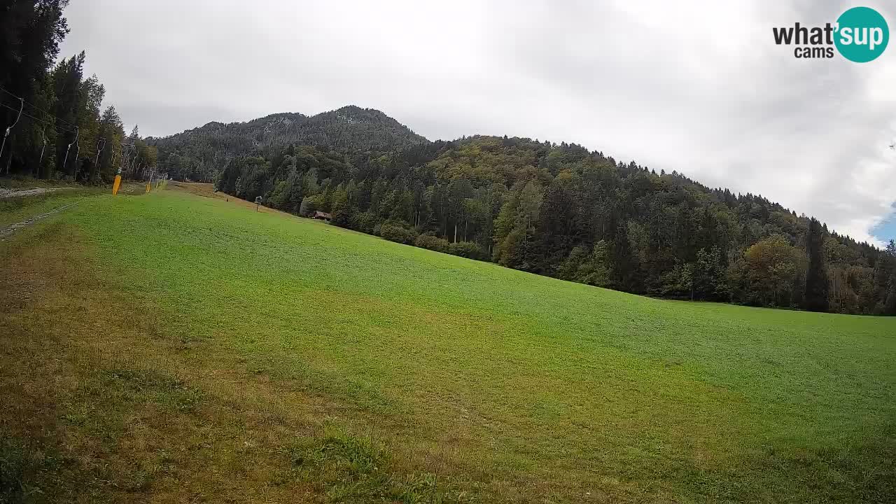 RTC Skigebiet Kranjska Gora | Brsnina