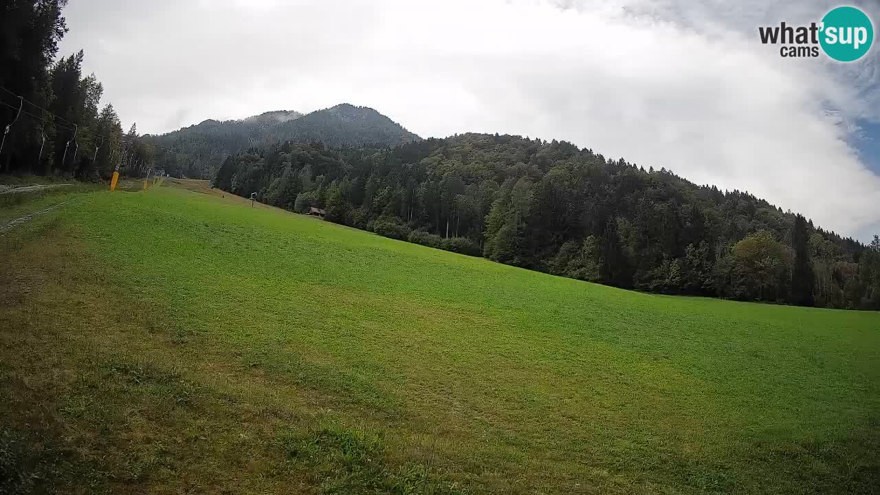 RTC Kranjska Gora | Brsnina