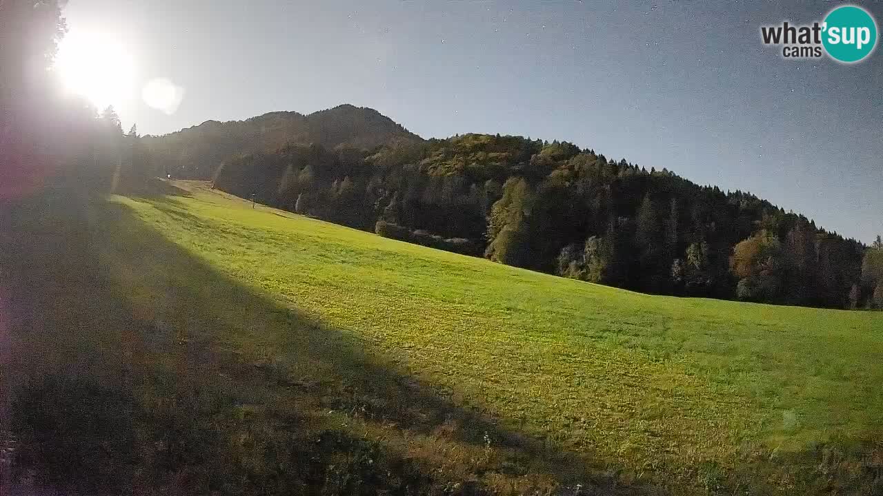 Esquí Kranjska Gora | Brsnina