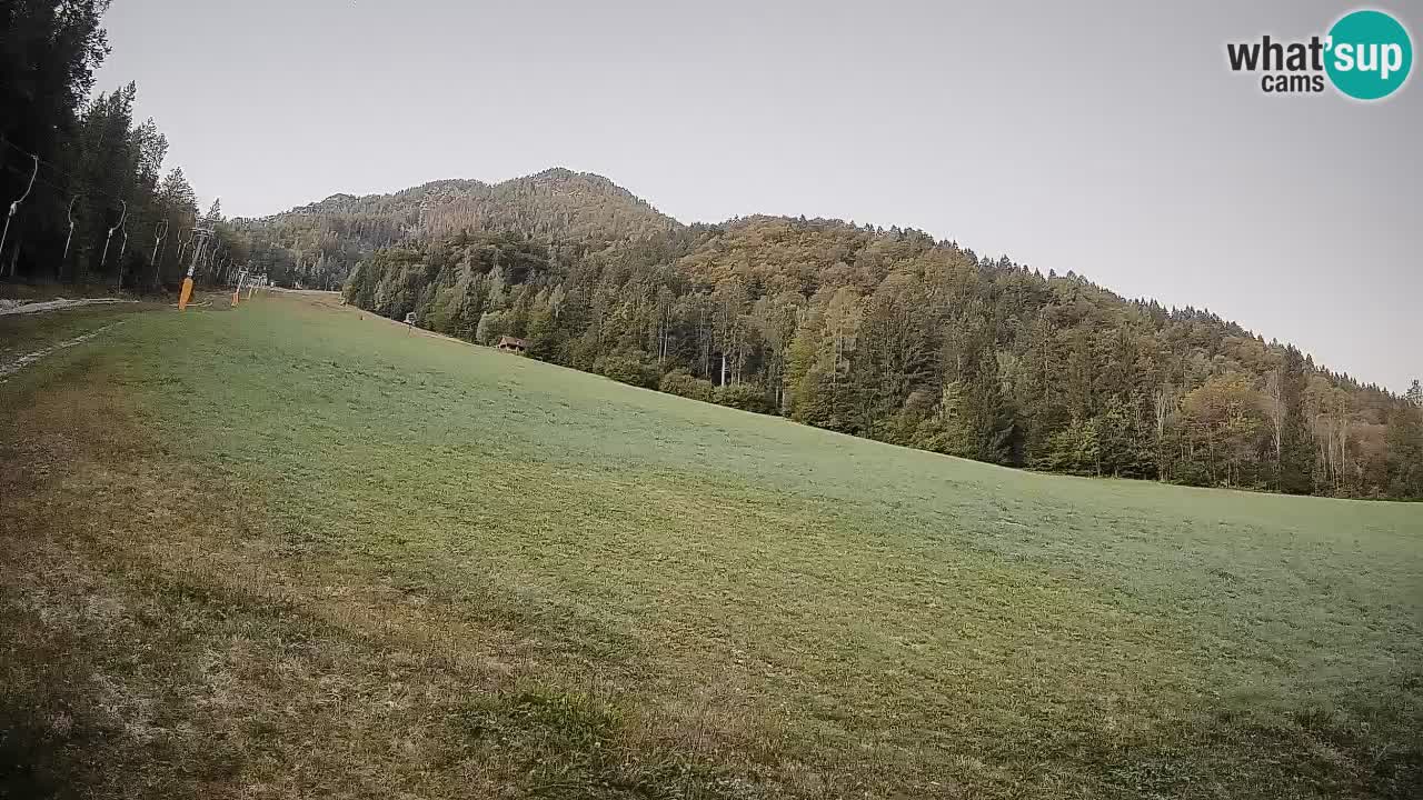 Comprensorio sciistico Kranjska Gora | Brsnina