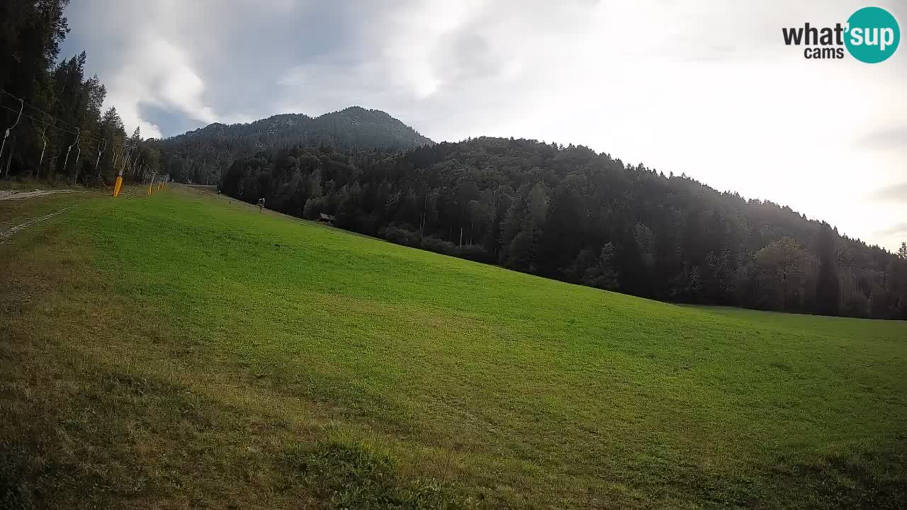 RTC Kranjska Gora | Brsnina