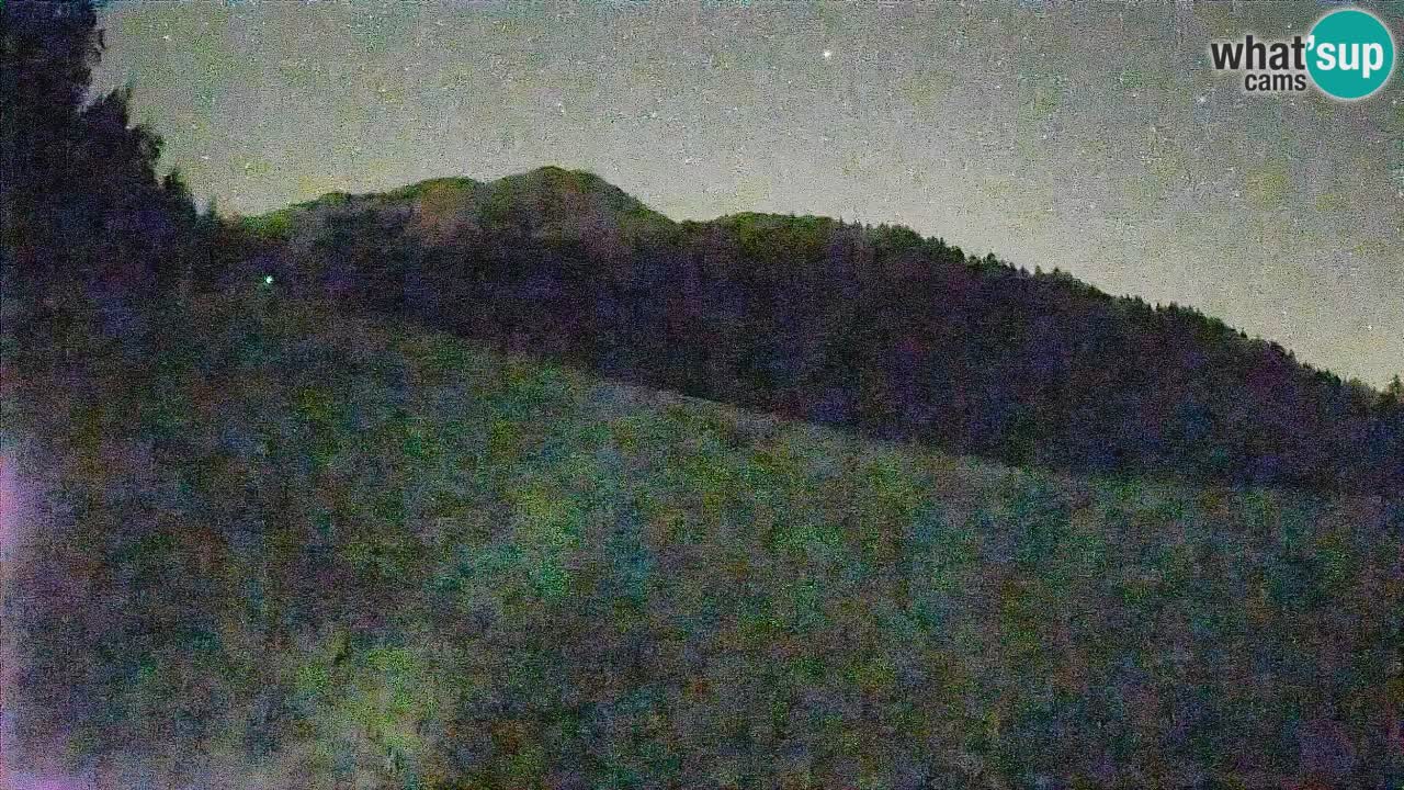 Esquí Kranjska Gora | Brsnina