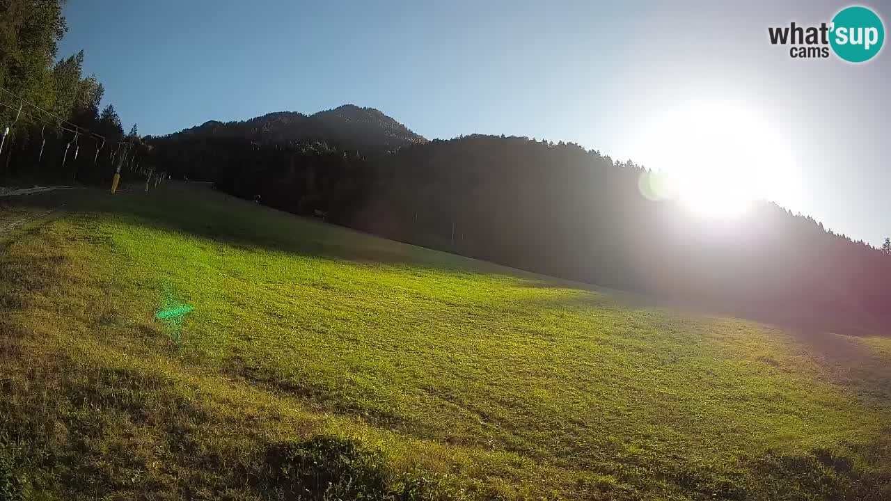 Ski Kranjska Gora | Brsnina