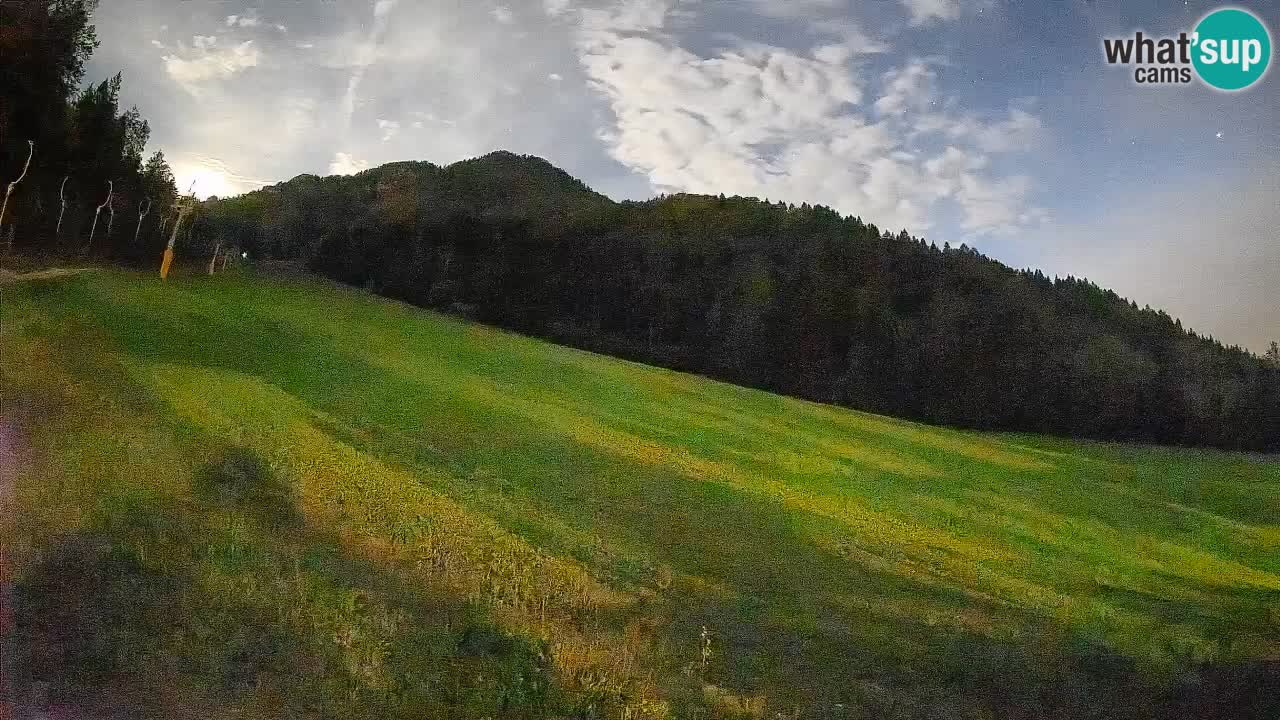 Ski Kranjska Gora | Brsnina