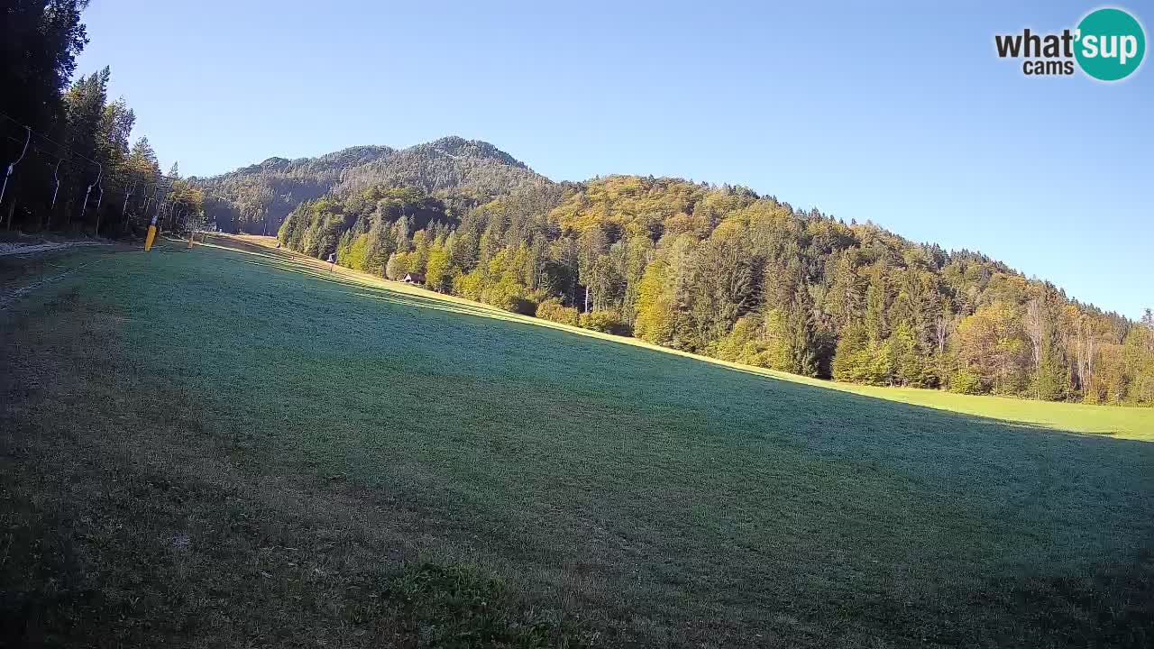 Esquí Kranjska Gora | Brsnina