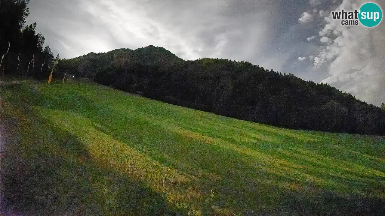 Comprensorio sciistico Kranjska Gora | Brsnina