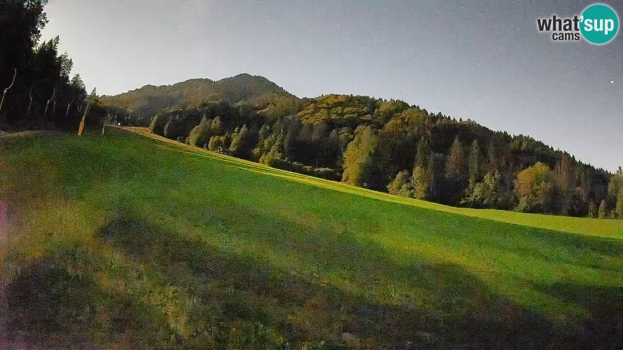Kranjska Gora Station de ski | Brsnina
