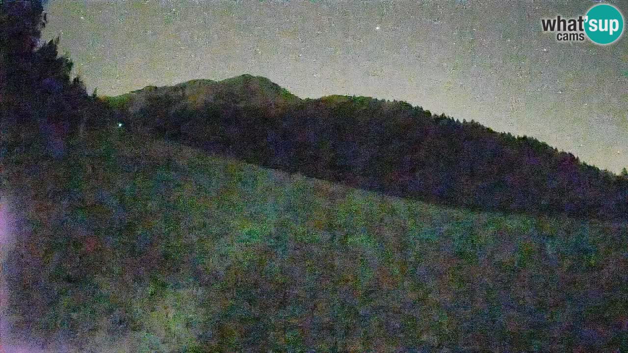 RTC Skigebiet Kranjska Gora | Brsnina