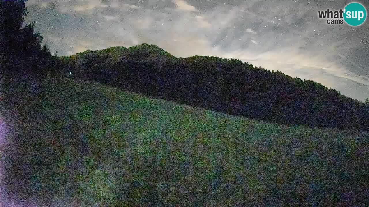 Kranjska Gora SKIJANJE | Brsnina