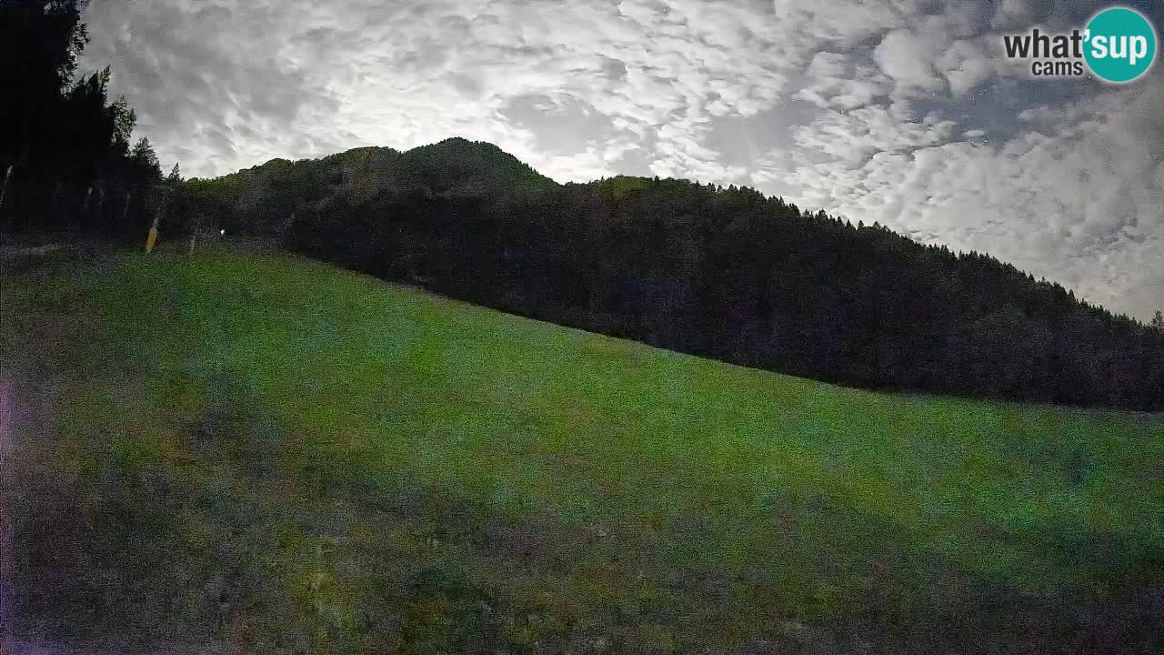 Ski Kranjska Gora | Brsnina