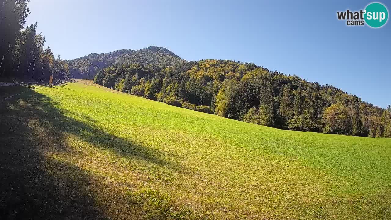 Comprensorio sciistico Kranjska Gora | Brsnina