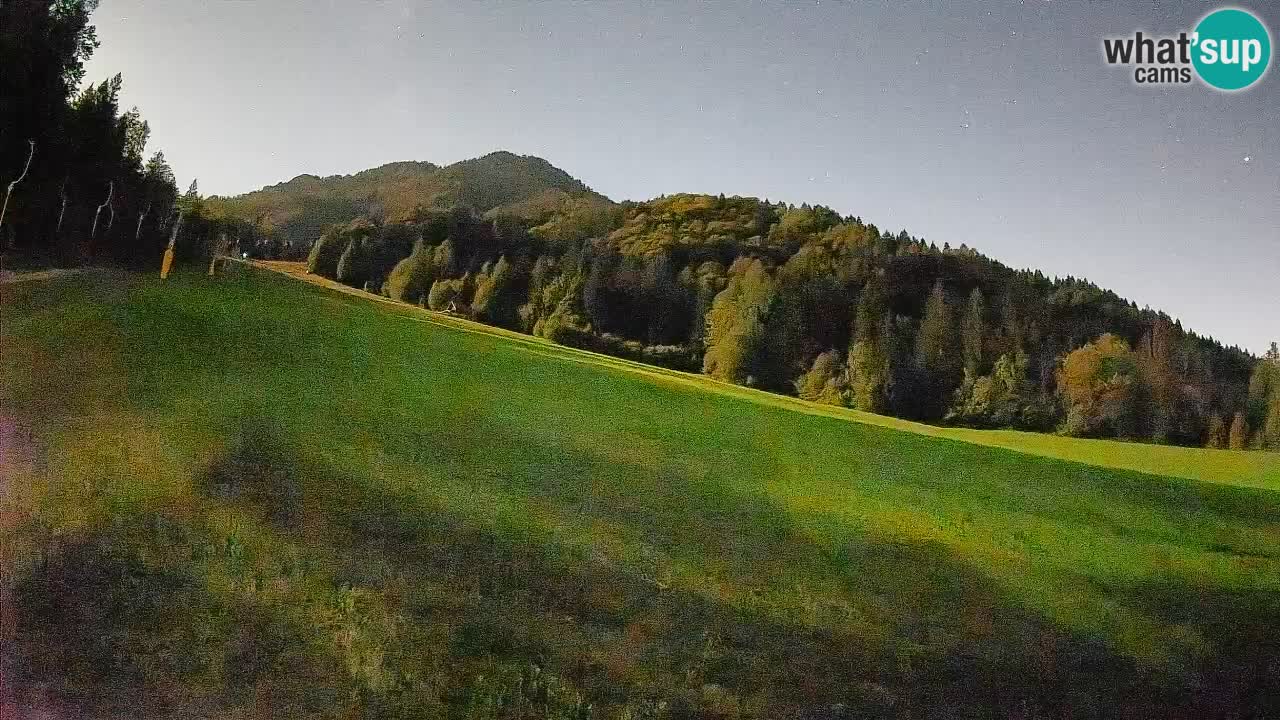 Ski Kranjska Gora | Brsnina