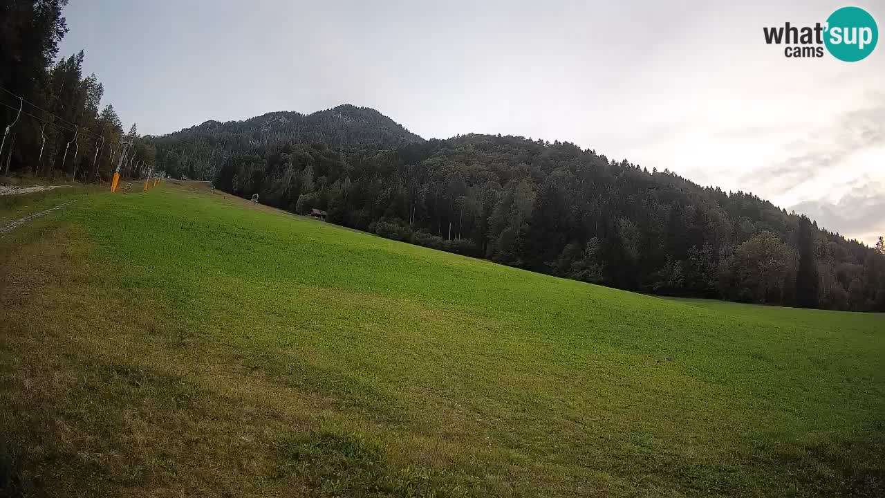 Kranjska Gora Station de ski | Brsnina