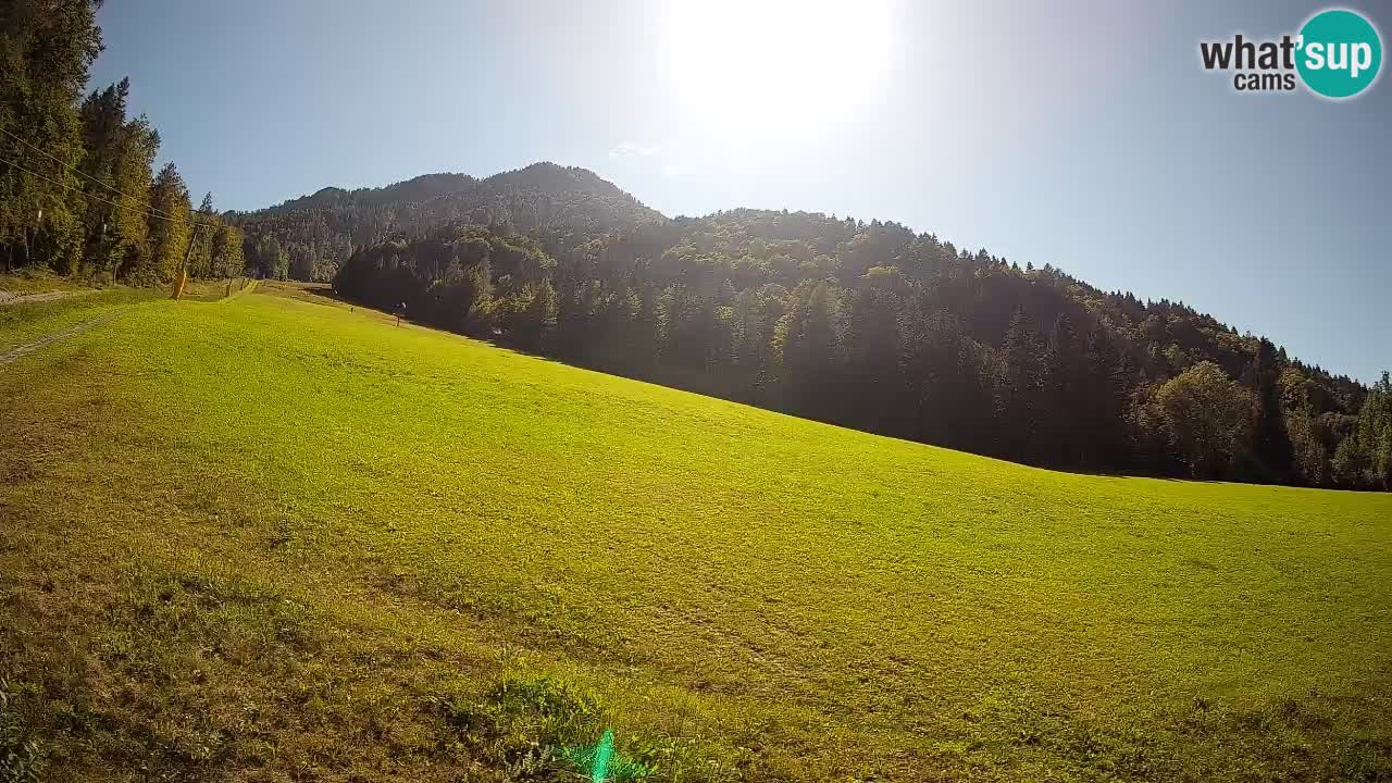 RTC Skigebiet Kranjska Gora | Brsnina