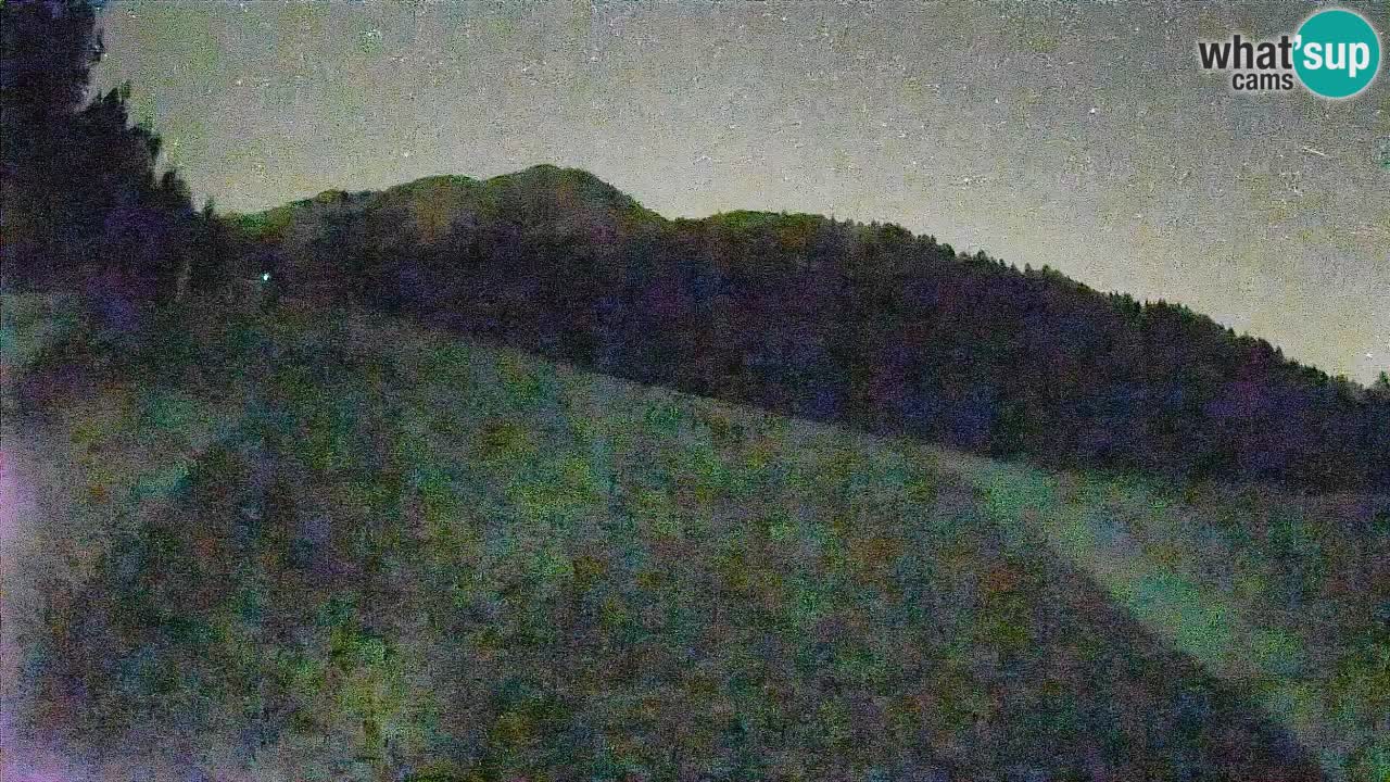Comprensorio sciistico Kranjska Gora | Brsnina