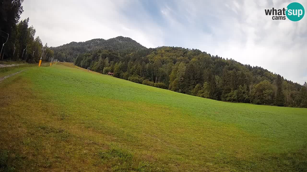 Ski Kranjska Gora | Brsnina