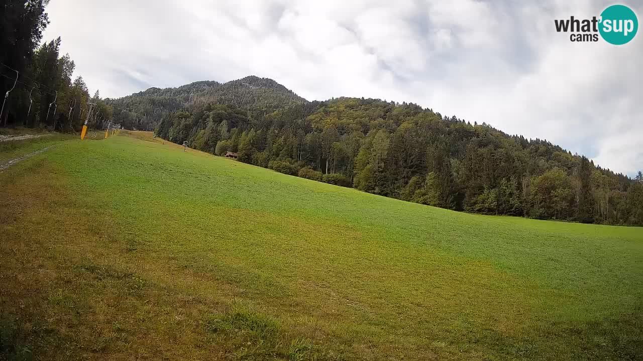 Comprensorio sciistico Kranjska Gora | Brsnina