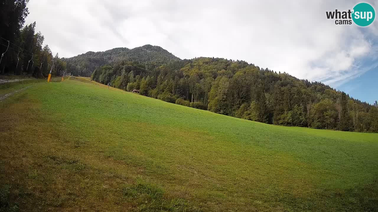Comprensorio sciistico Kranjska Gora | Brsnina