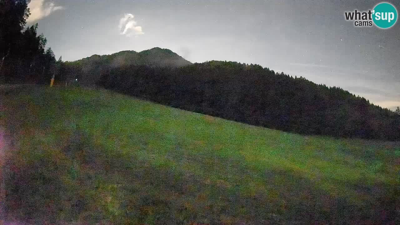 RTC Skigebiet Kranjska Gora | Brsnina