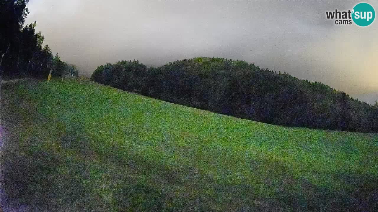 Comprensorio sciistico Kranjska Gora | Brsnina