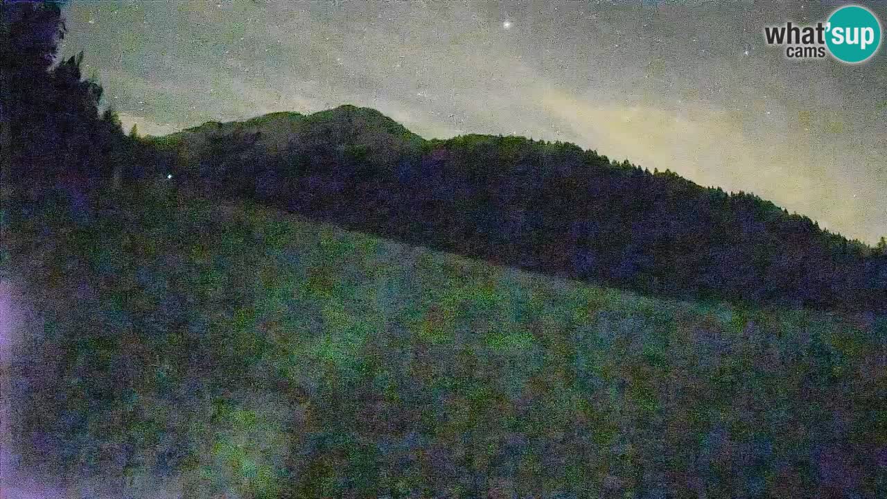 Ski Kranjska Gora | Brsnina