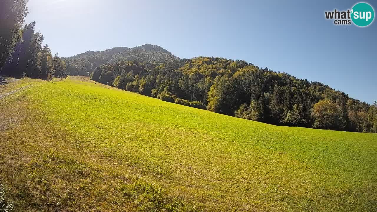 RTC Skigebiet Kranjska Gora | Brsnina