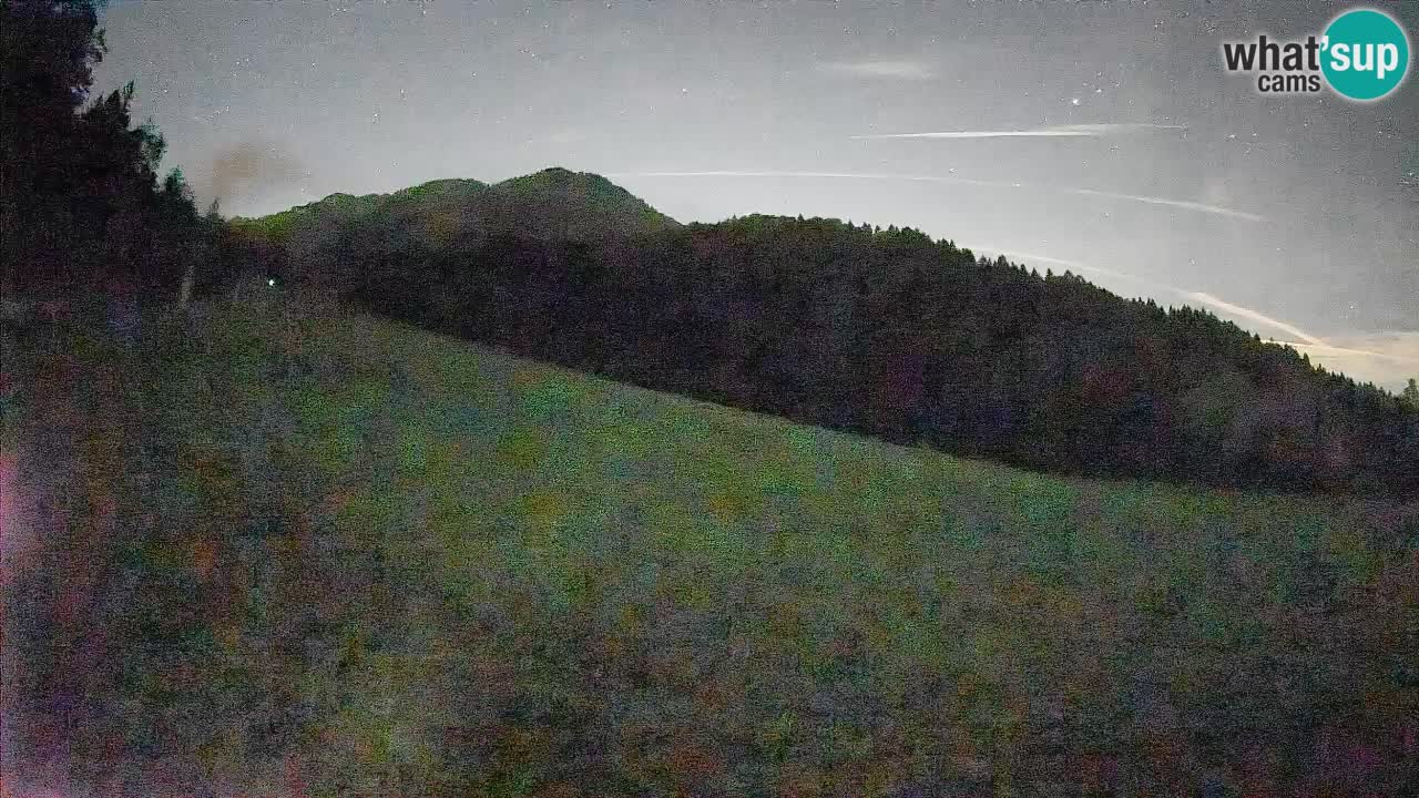 Ski Kranjska Gora | Brsnina