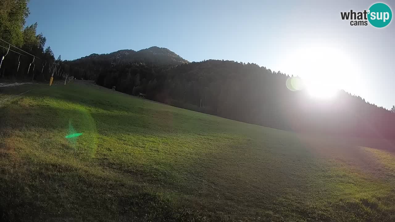 Ski Kranjska Gora | Brsnina