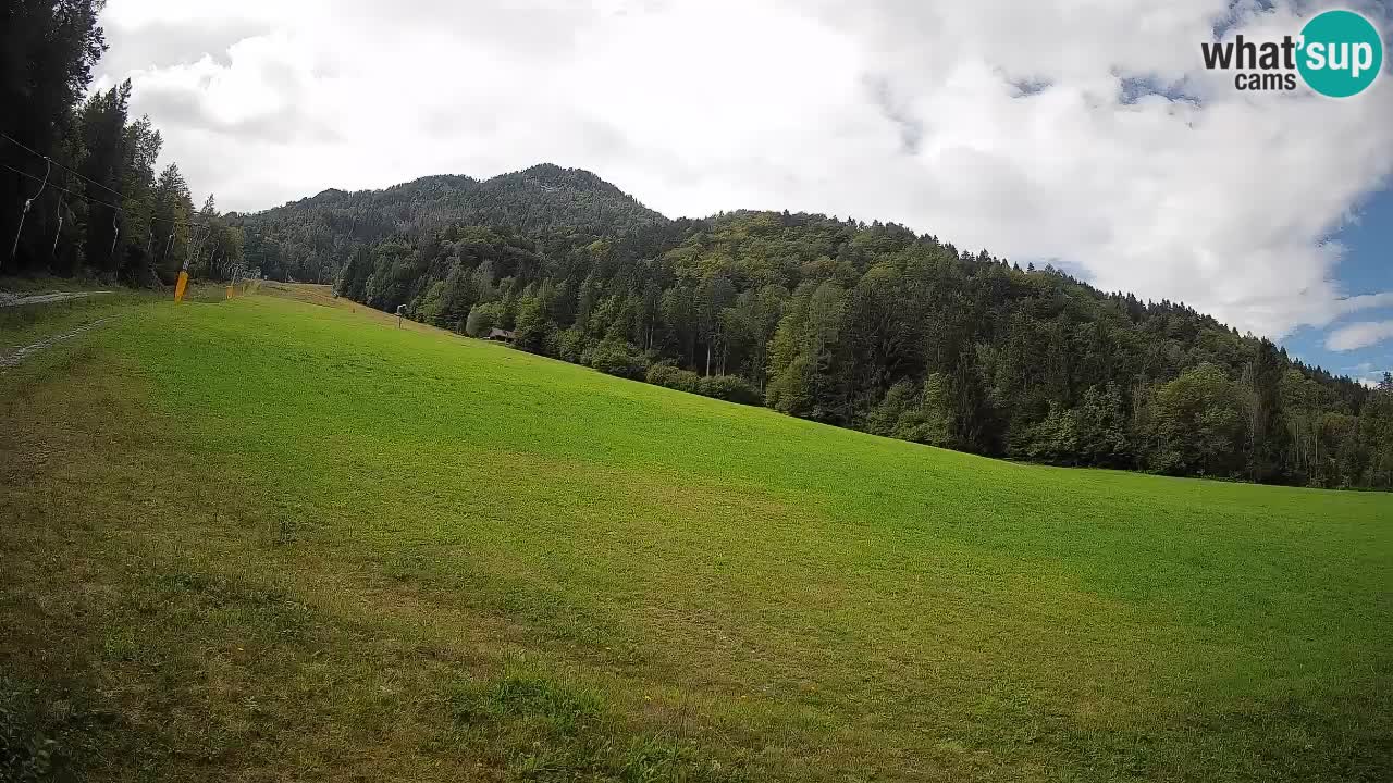Esquí Kranjska Gora | Brsnina