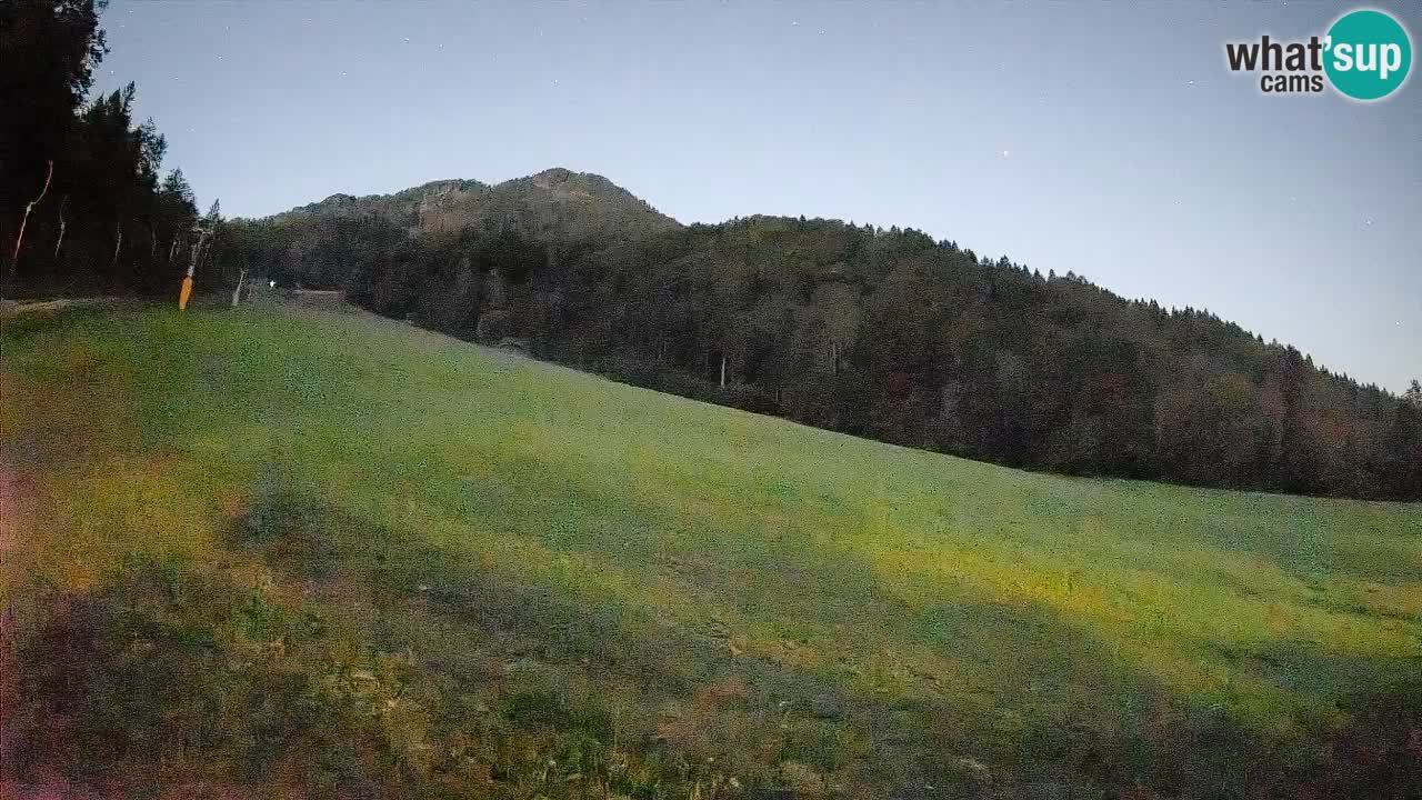 RTC Skigebiet Kranjska Gora | Brsnina