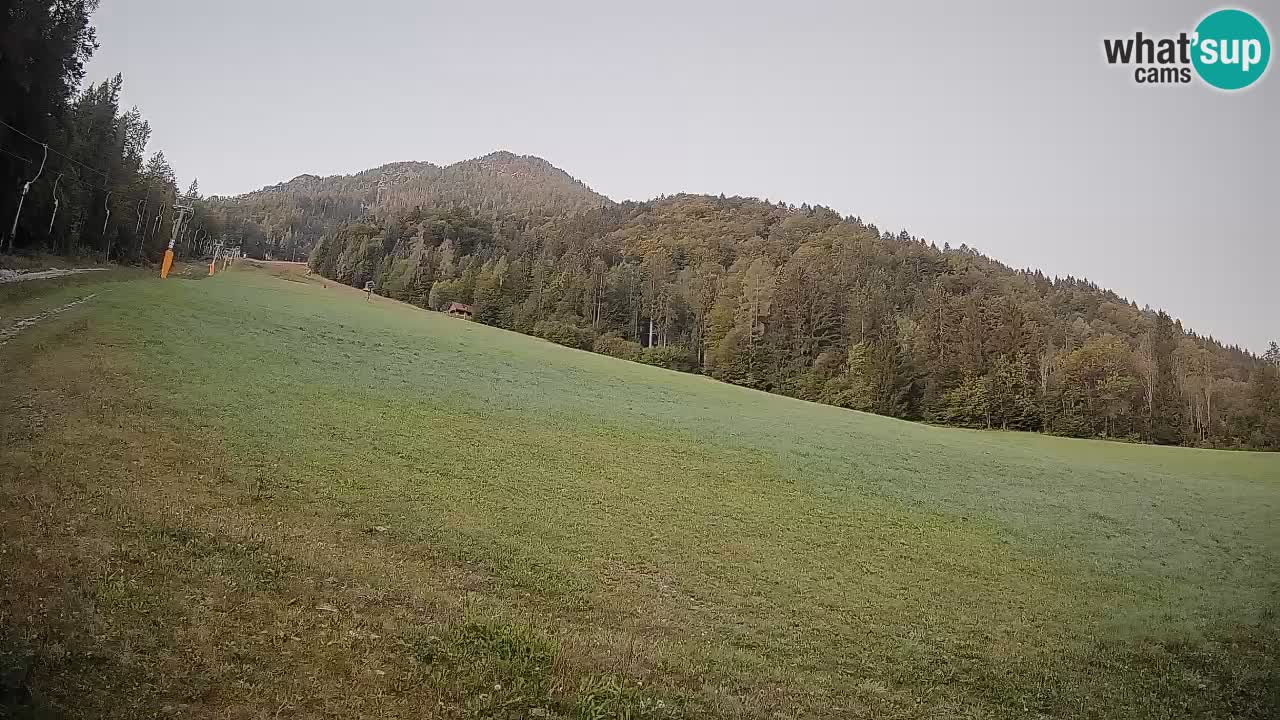 RTC Skigebiet Kranjska Gora | Brsnina