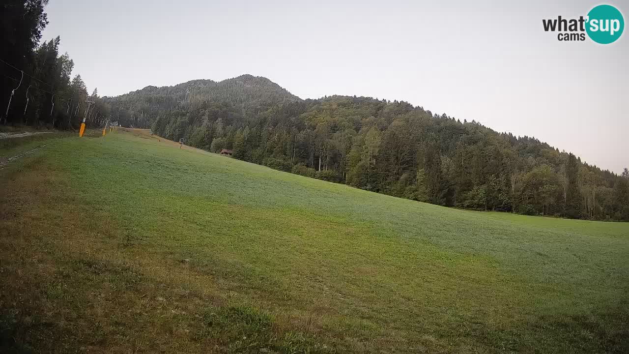 Comprensorio sciistico Kranjska Gora | Brsnina