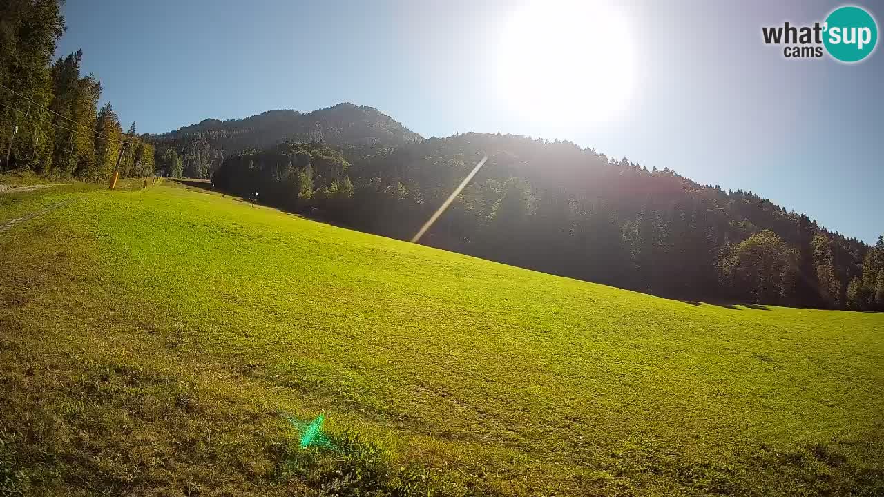 Comprensorio sciistico Kranjska Gora | Brsnina