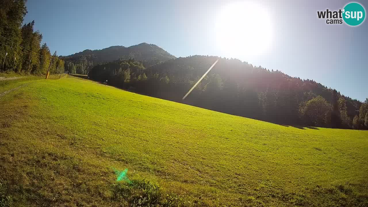 Comprensorio sciistico Kranjska Gora | Brsnina