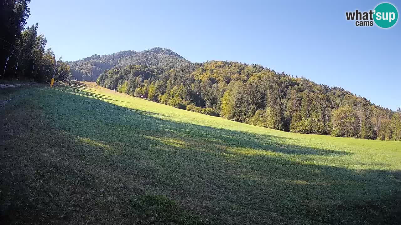 Ski Kranjska Gora | Brsnina