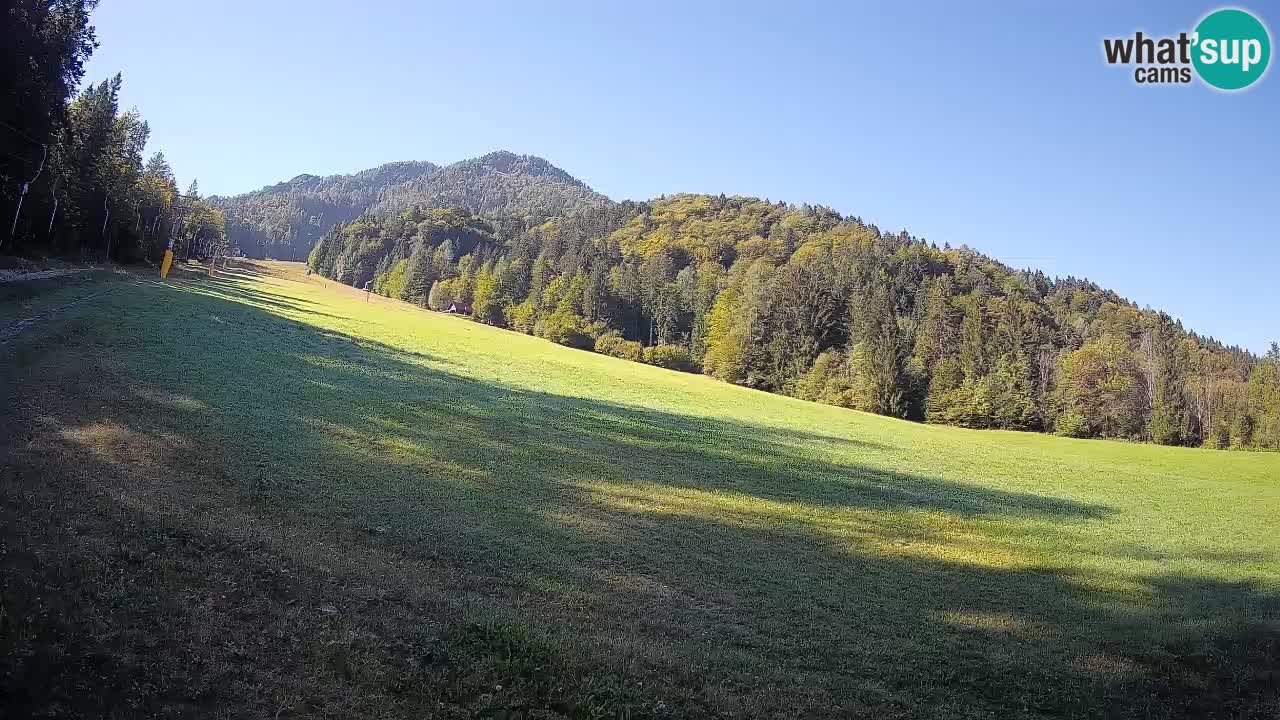 Ski Kranjska Gora | Brsnina