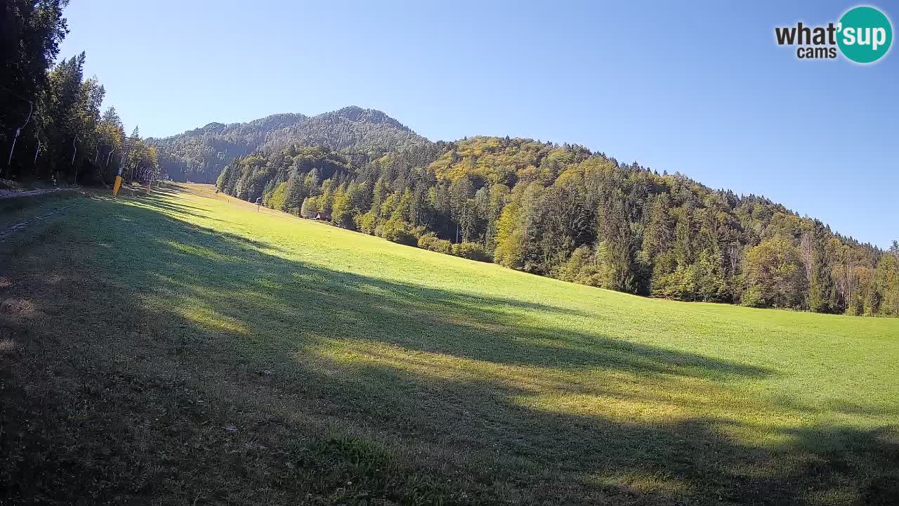 Comprensorio sciistico Kranjska Gora | Brsnina