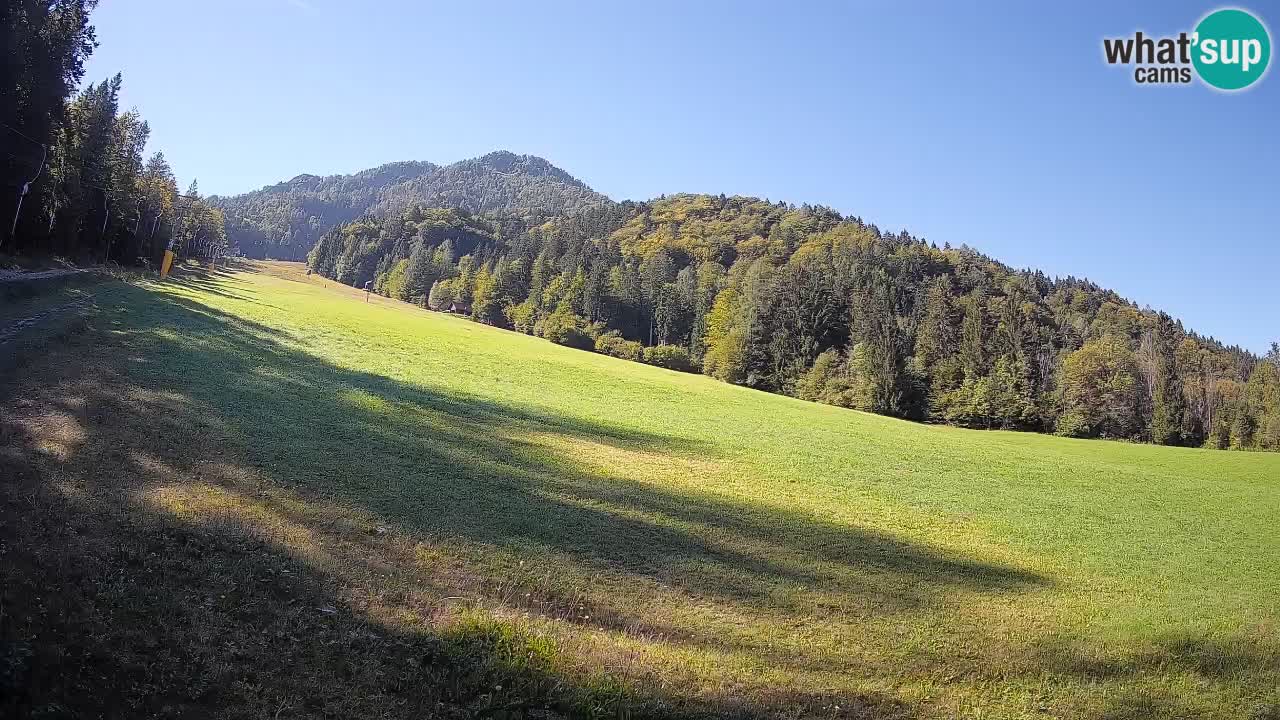 Comprensorio sciistico Kranjska Gora | Brsnina