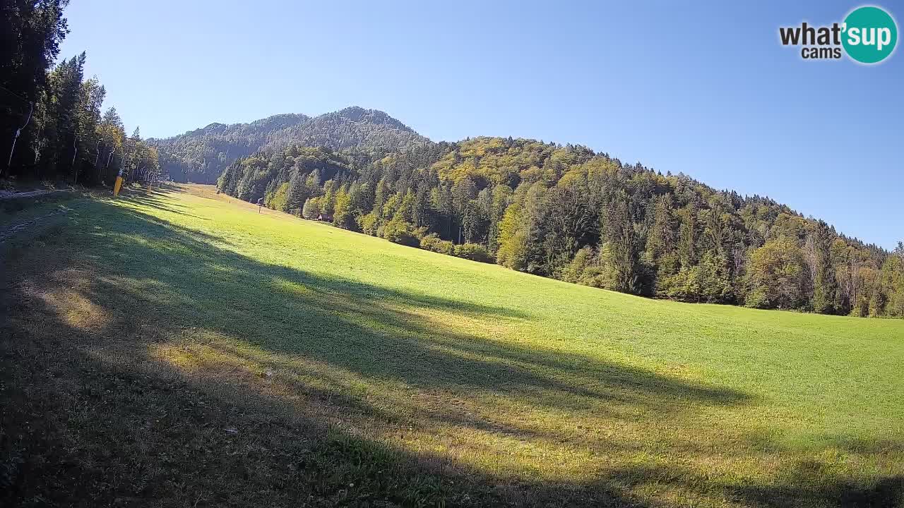 RTC Skigebiet Kranjska Gora | Brsnina