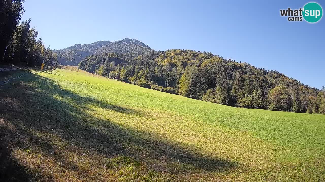 Kranjska Gora Station de ski | Brsnina