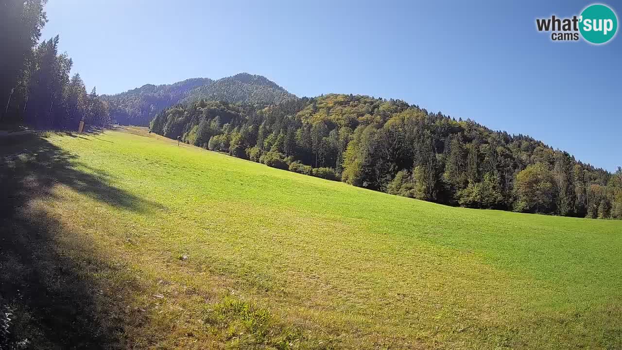 RTC Skigebiet Kranjska Gora | Brsnina