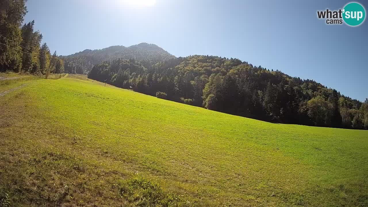 Kranjska Gora Station de ski | Brsnina