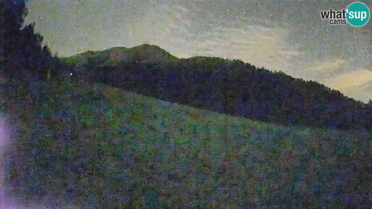 Esquí Kranjska Gora | Brsnina