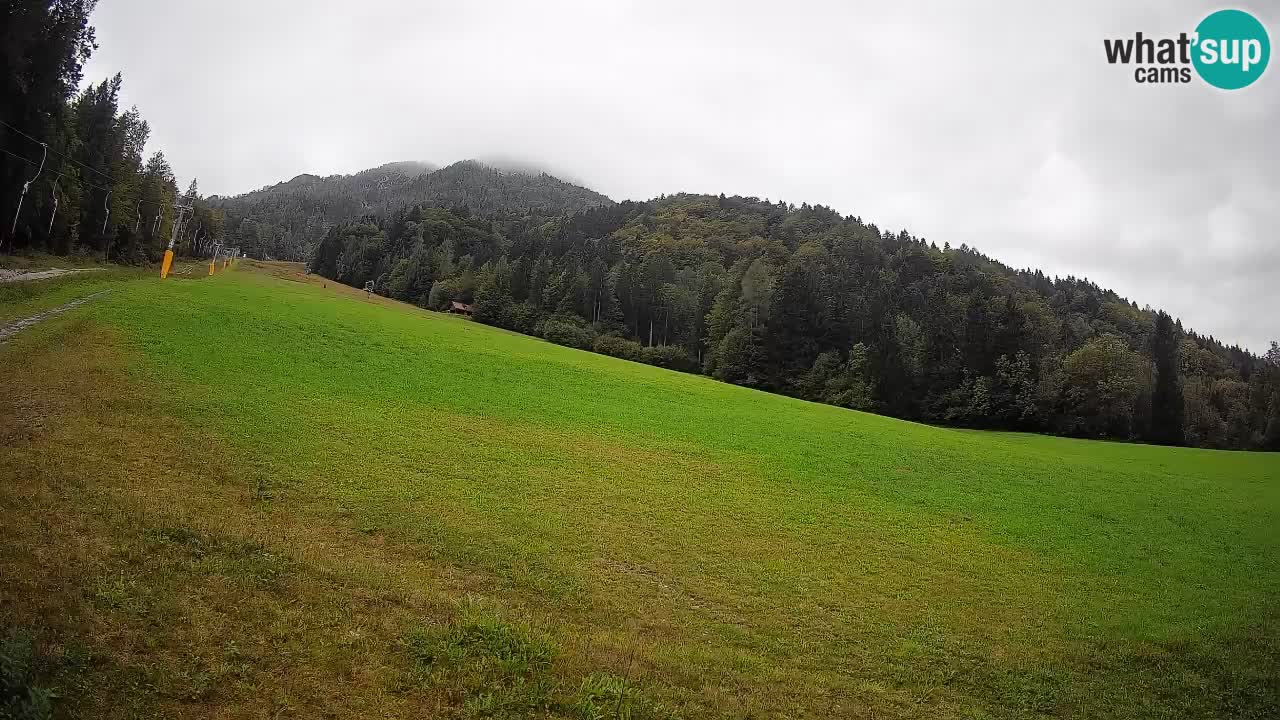 Comprensorio sciistico Kranjska Gora | Brsnina