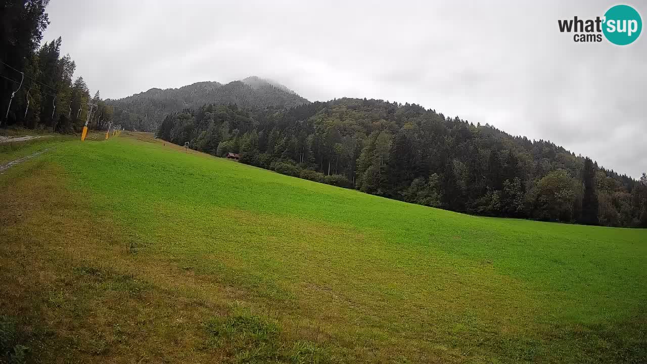 RTC Skigebiet Kranjska Gora | Brsnina