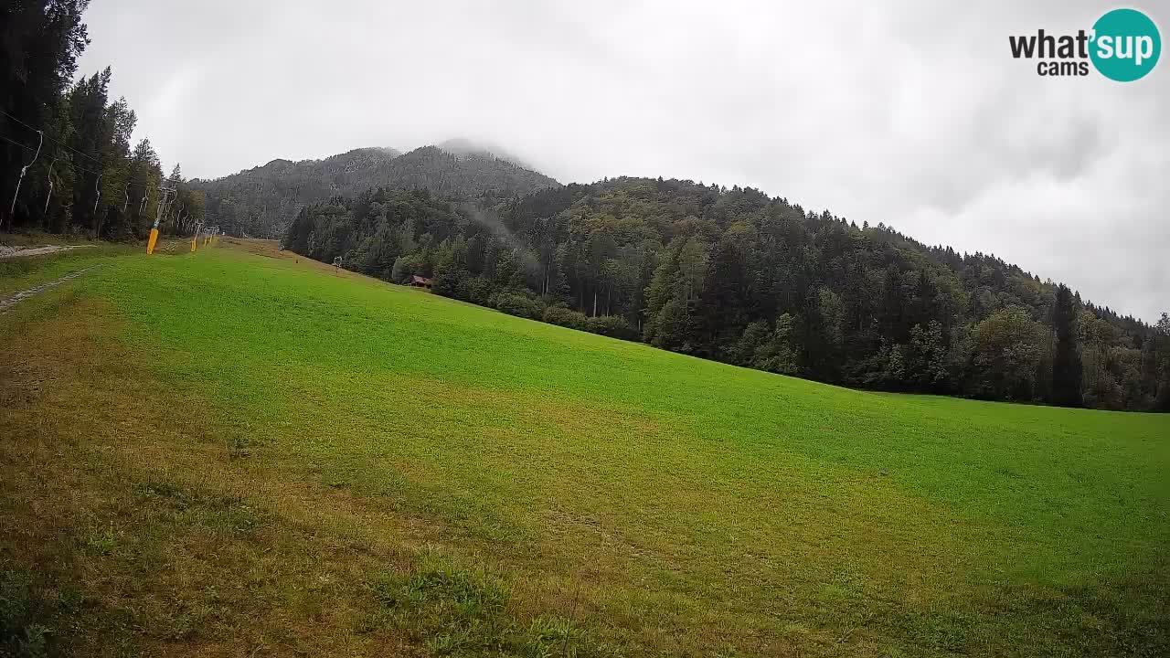 RTC Skigebiet Kranjska Gora | Brsnina