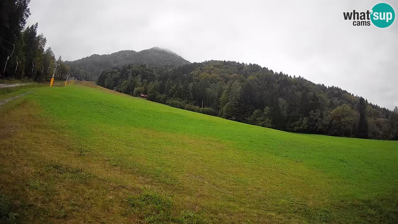 Kranjska Gora Station de ski | Brsnina