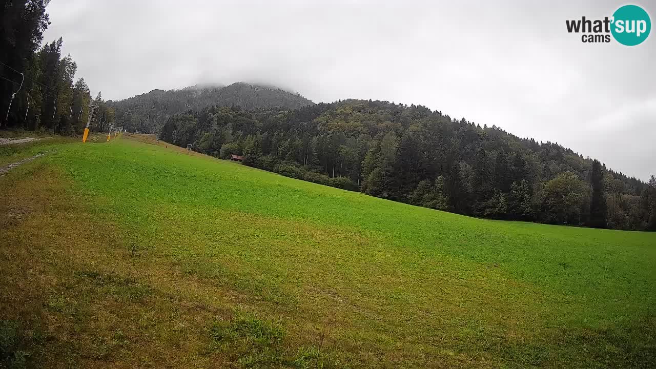 Ski Kranjska Gora | Brsnina